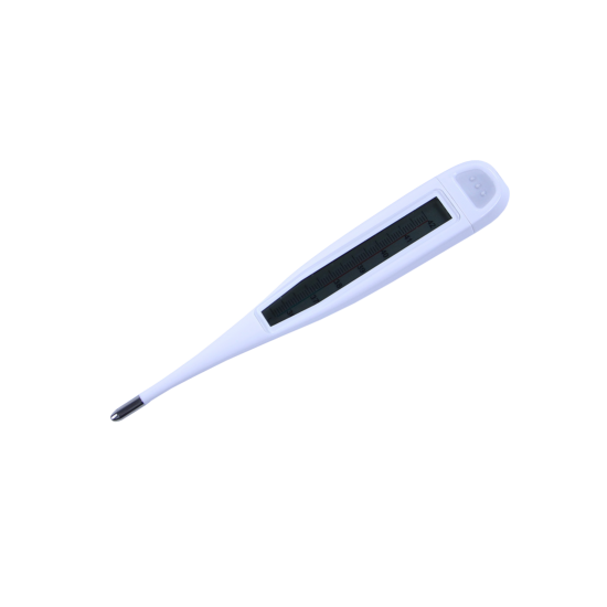 Termometru digital standard cu scala, DEEE